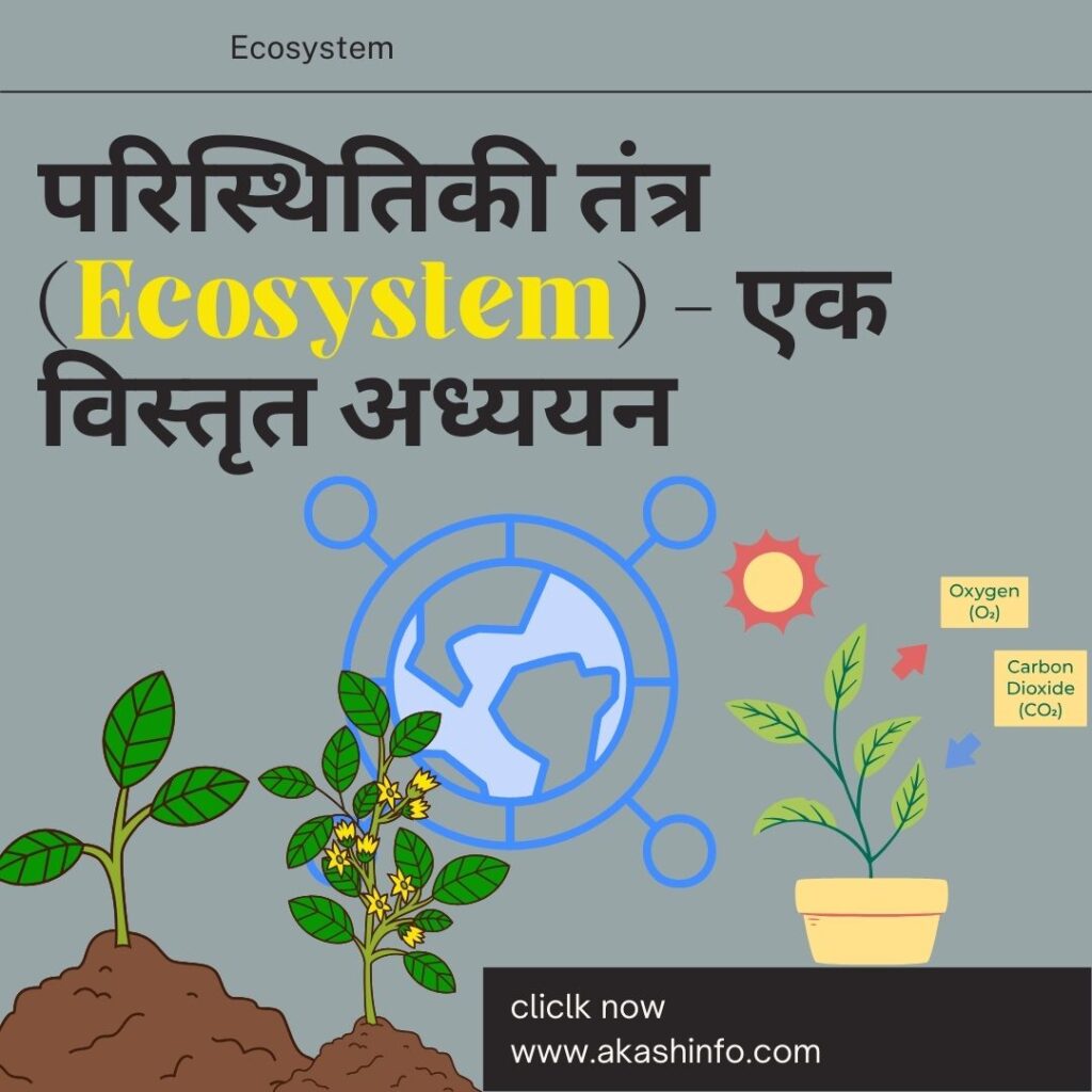 Ecosystem