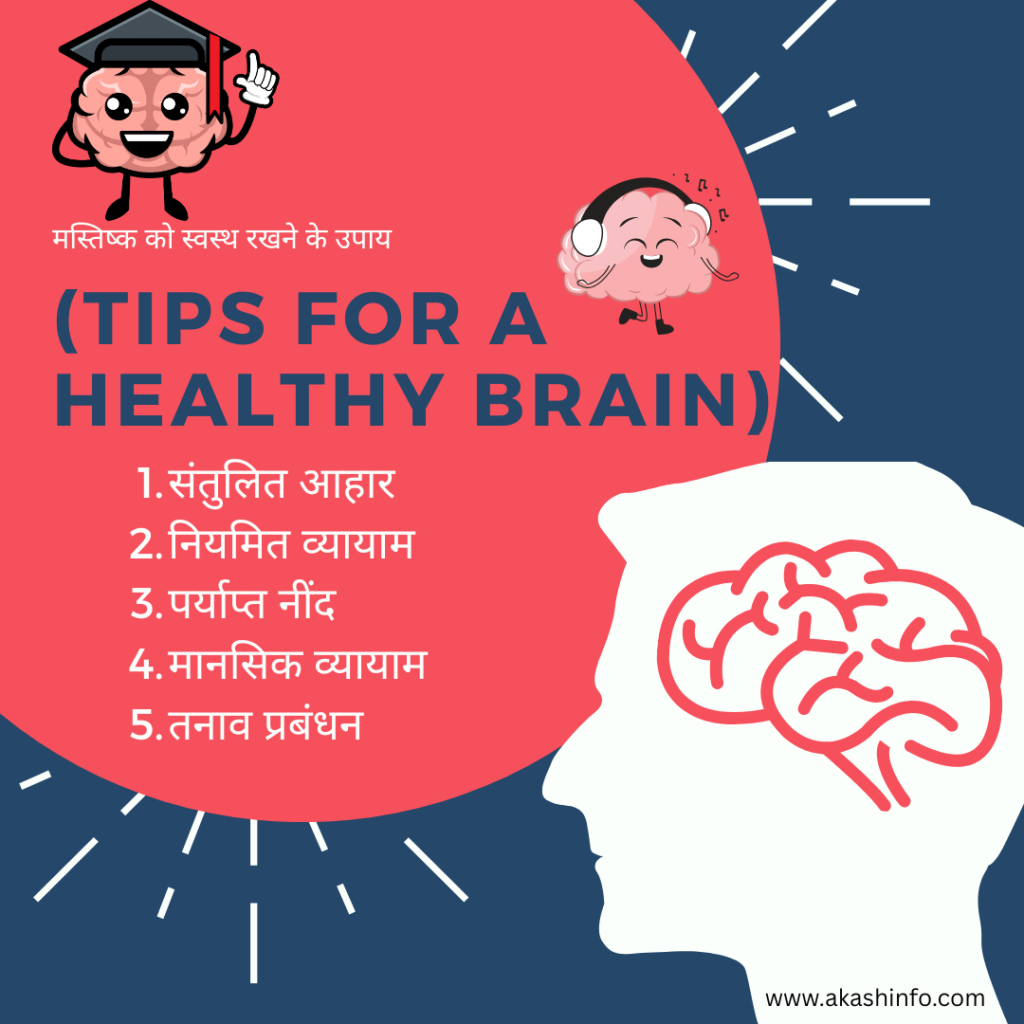 Human Brain