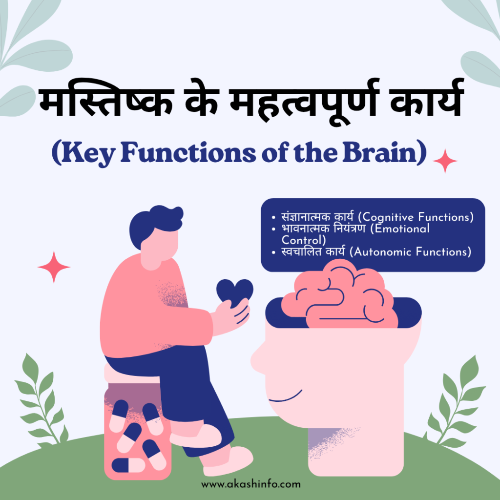 Human Brain