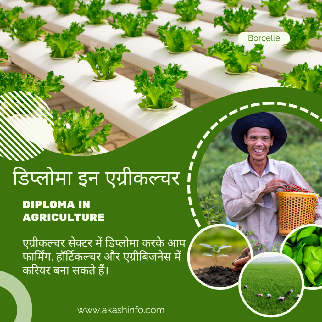 Top 10 Diploma Courses